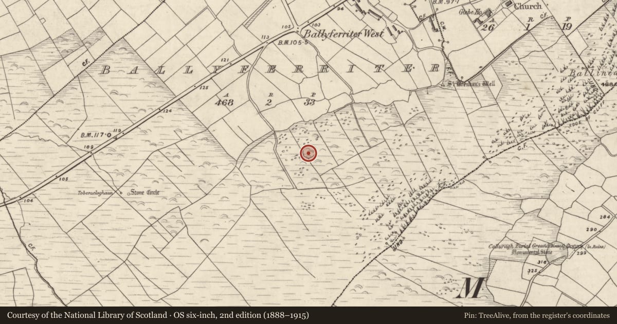 Ordnance Survey six-inch map, 2nd edition (1888–1915) covering the location of Ringfort - cashel, Baile An Fheirtéaraigh, County Kerry, with a pin at the register's coordinates