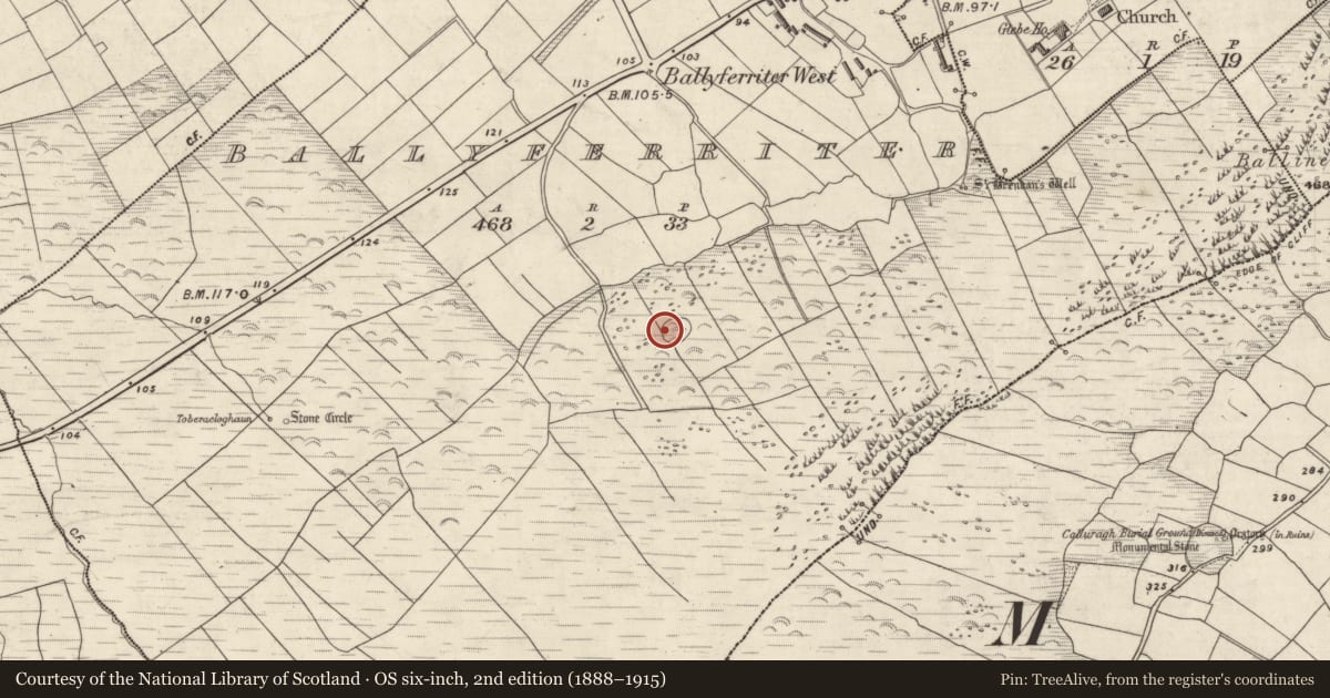 Ordnance Survey six-inch map, 2nd edition (1888–1915) covering the location of Hut site, Baile An Fheirtéaraigh, County Kerry, with a pin at the register's coordinates