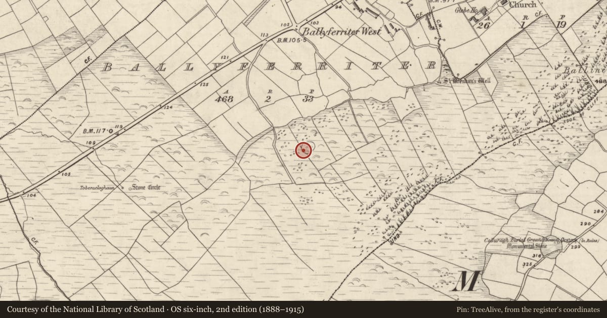 Ordnance Survey six-inch map, 2nd edition (1888–1915) covering the location of Hut site, Baile An Fheirtéaraigh, County Kerry, with a pin at the register's coordinates