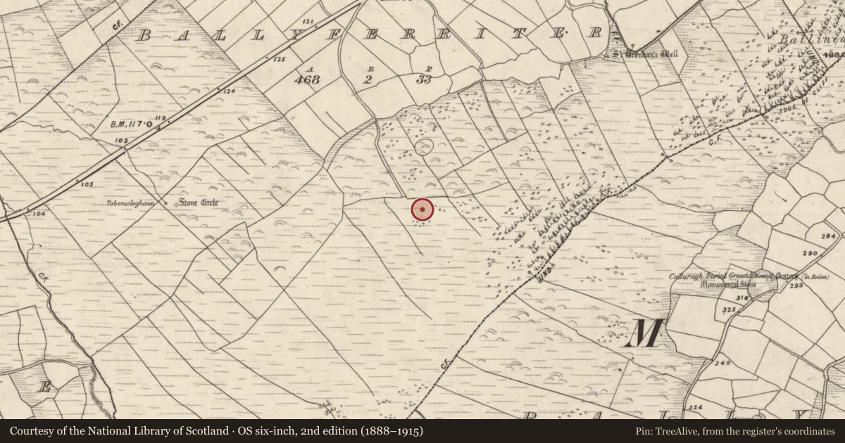 Ordnance Survey six-inch map, 2nd edition (1888–1915) covering the location of Hut site, Baile An Fheirtéaraigh, County Kerry, with a pin at the register's coordinates