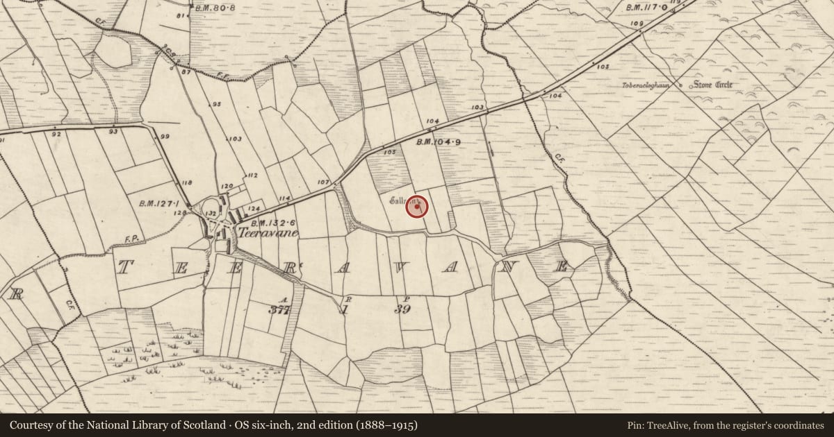 Ordnance Survey six-inch map, 2nd edition (1888–1915) covering the location of Standing stone, Tíorabháin, County Kerry, with a pin at the register's coordinates