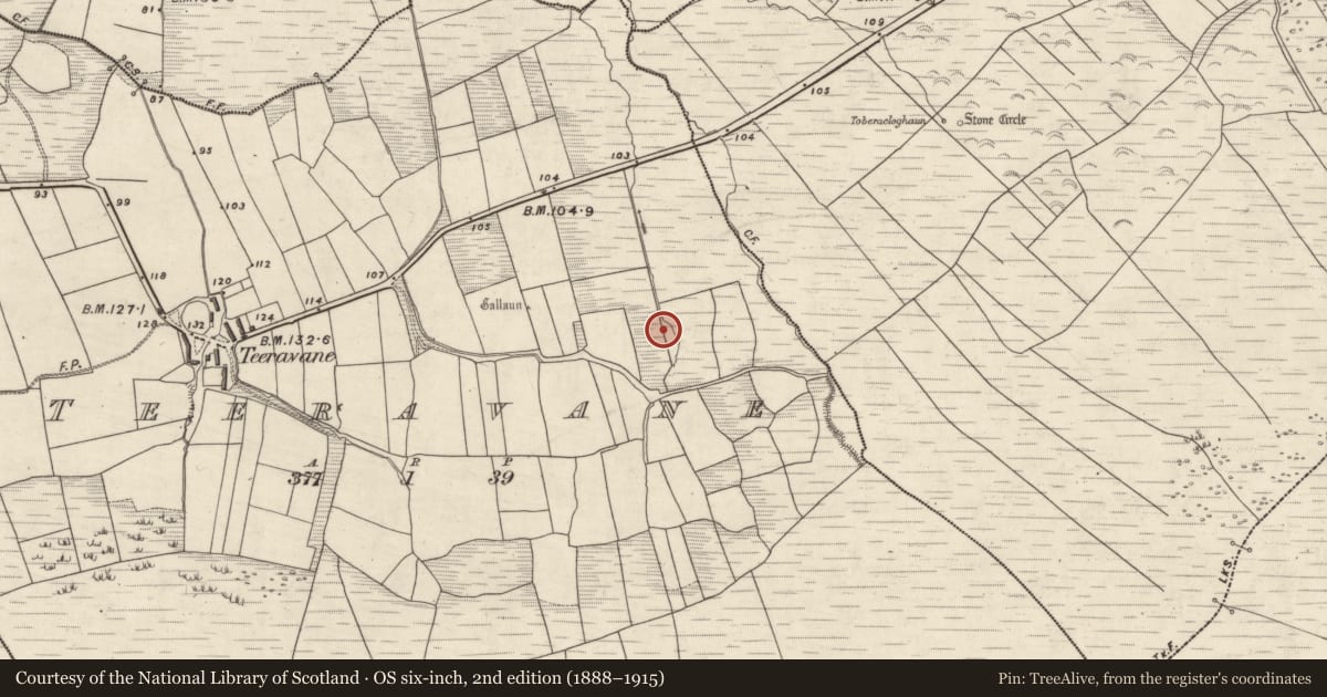 Ordnance Survey six-inch map, 2nd edition (1888–1915) covering the location of Hut site, Tíorabháin, County Kerry, with a pin at the register's coordinates
