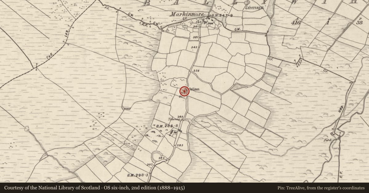 Ordnance Survey six-inch map, 2nd edition (1888–1915) covering the location of Standing stone, Márthain, County Kerry, with a pin at the register's coordinates