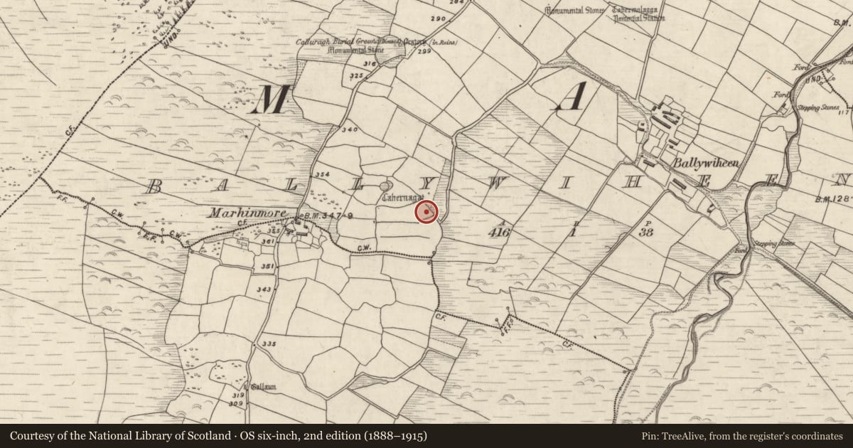 Ordnance Survey six-inch map, 2nd edition (1888–1915) covering the location of Enclosure, Baile An Bhaoithín, County Kerry, with a pin at the register's coordinates