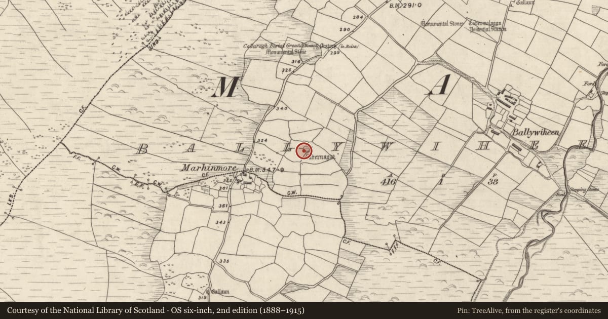 Ordnance Survey six-inch map, 2nd edition (1888–1915) covering the location of Ringfort - cashel, Baile An Bhaoithín, County Kerry, with a pin at the register's coordinates