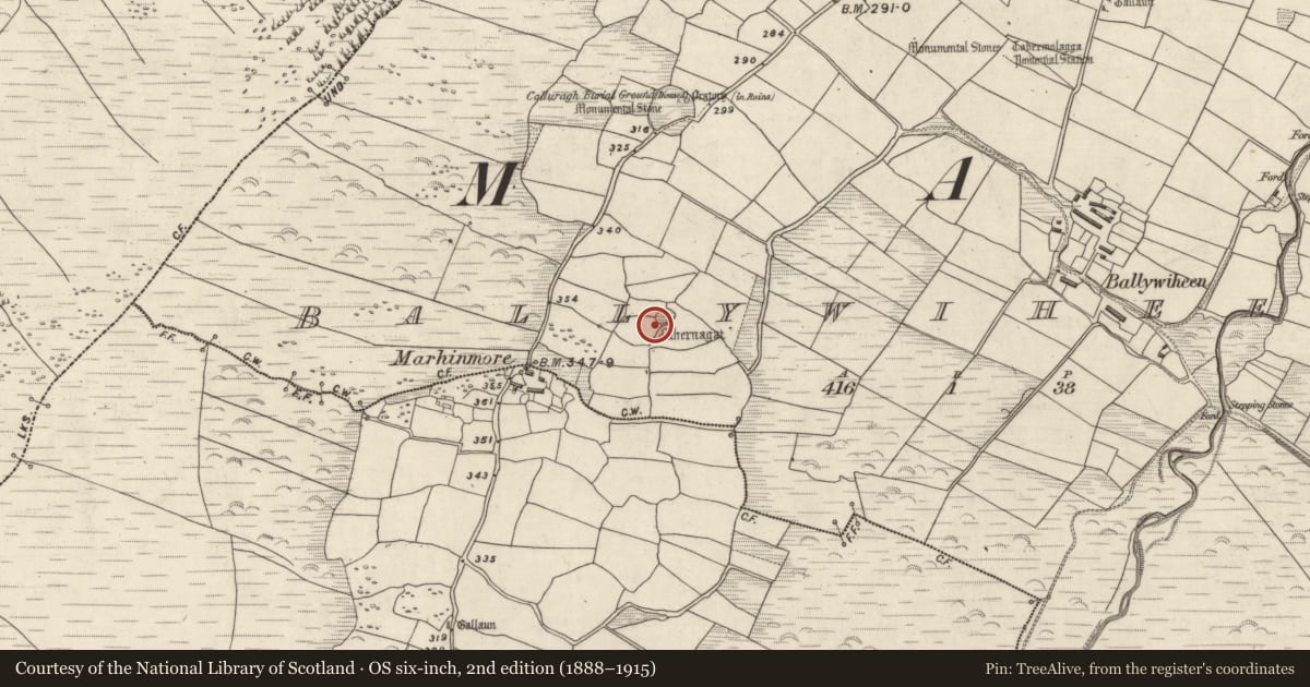 Ordnance Survey six-inch map, 2nd edition (1888–1915) covering the location of Hut site, Baile An Bhaoithín, County Kerry, with a pin at the register's coordinates