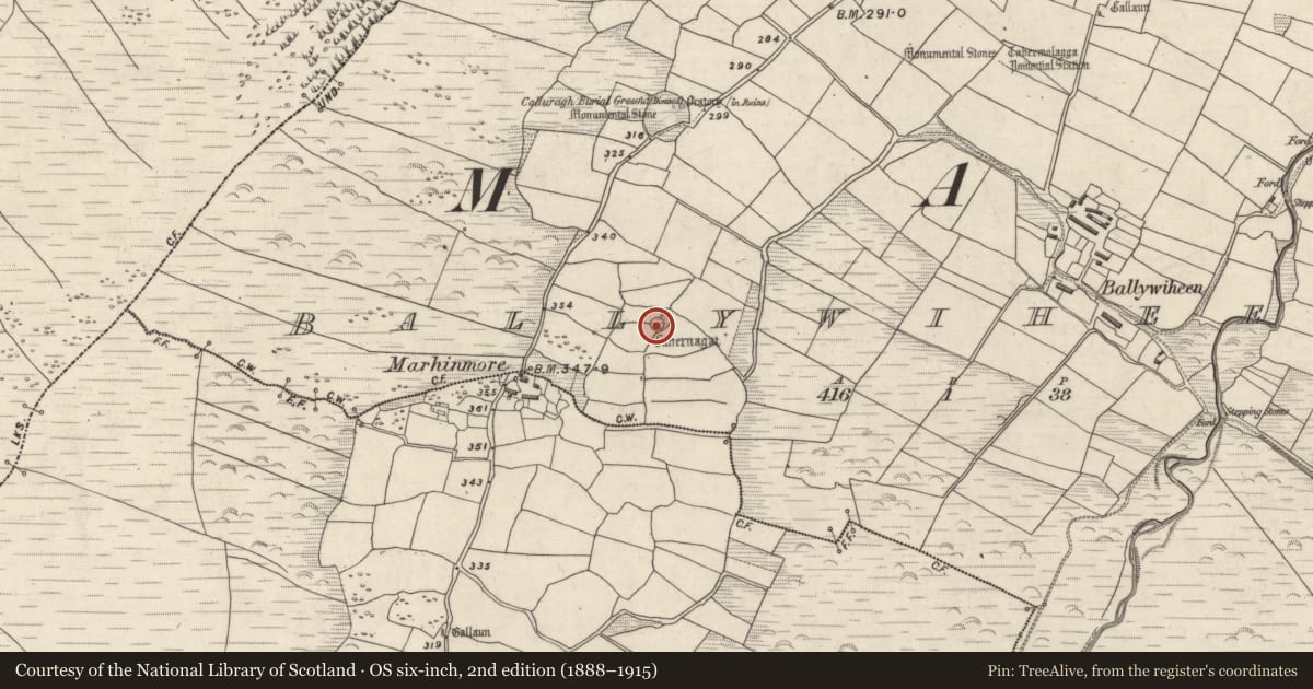 Ordnance Survey six-inch map, 2nd edition (1888–1915) covering the location of Ogham stone, Baile An Bhaoithín, County Kerry, with a pin at the register's coordinates