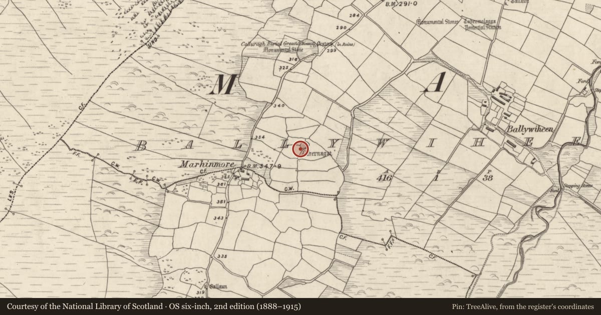 Ordnance Survey six-inch map, 2nd edition (1888–1915) covering the location of Hut site, Baile An Bhaoithín, County Kerry, with a pin at the register's coordinates