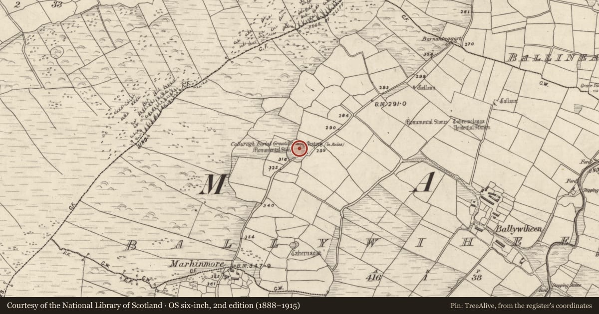 Ordnance Survey six-inch map, 2nd edition (1888–1915) covering the location of Leacht, Baile An Bhaoithín, County Kerry, with a pin at the register's coordinates