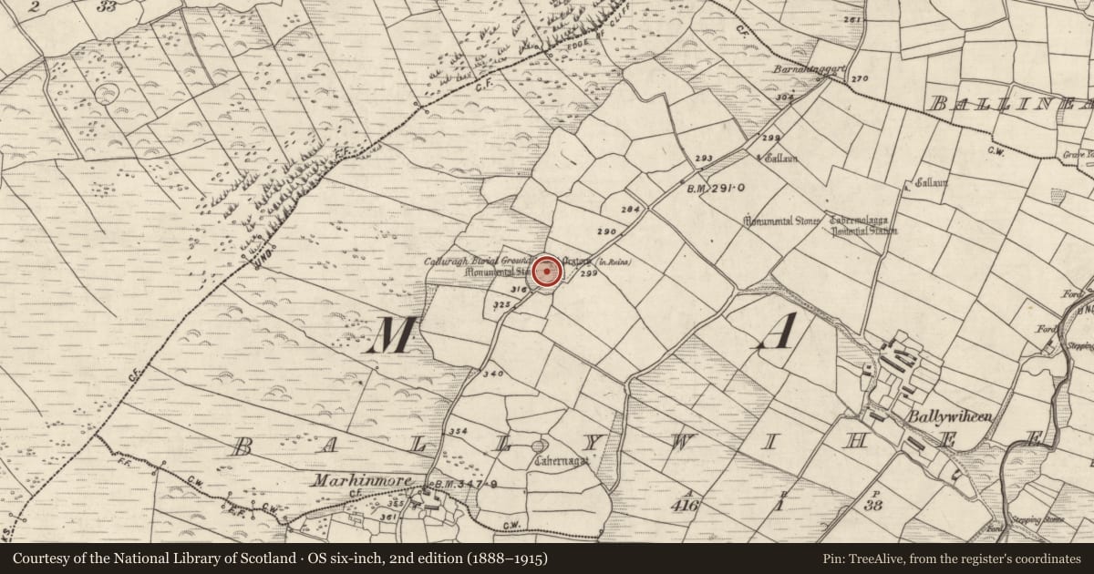 Ordnance Survey six-inch map, 2nd edition (1888–1915) covering the location of Cross-slab, Baile An Bhaoithín, County Kerry, with a pin at the register's coordinates