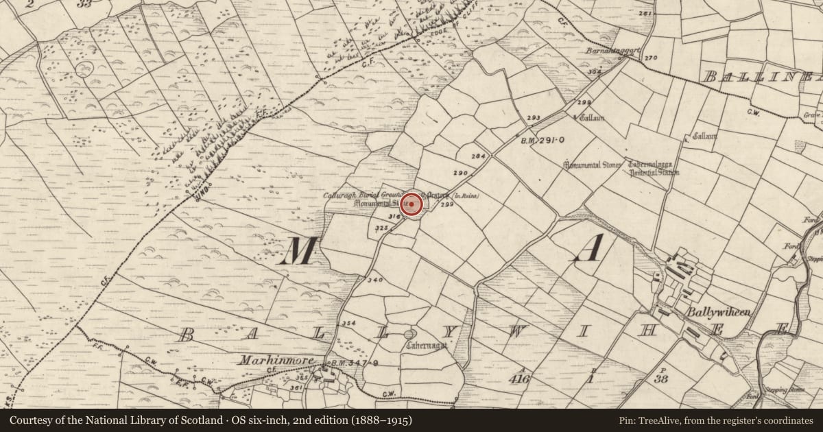 Ordnance Survey six-inch map, 2nd edition (1888–1915) covering the location of Hut site, Baile An Bhaoithín, County Kerry, with a pin at the register's coordinates