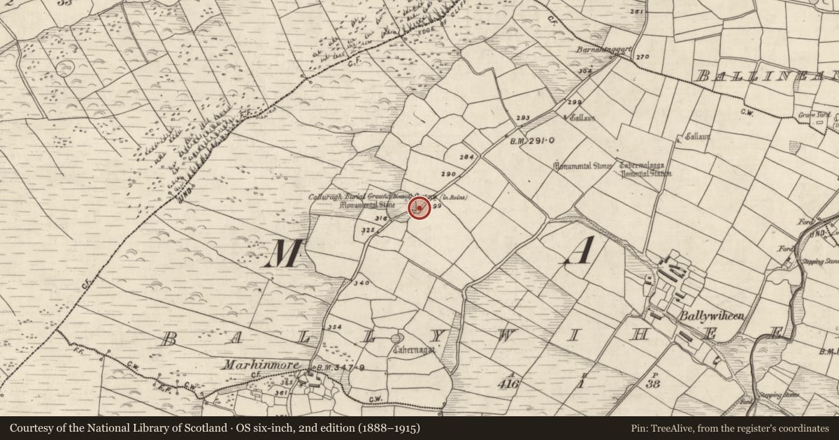 Ordnance Survey six-inch map, 2nd edition (1888–1915) covering the location of Cross, Baile An Bhaoithín, County Kerry, with a pin at the register's coordinates