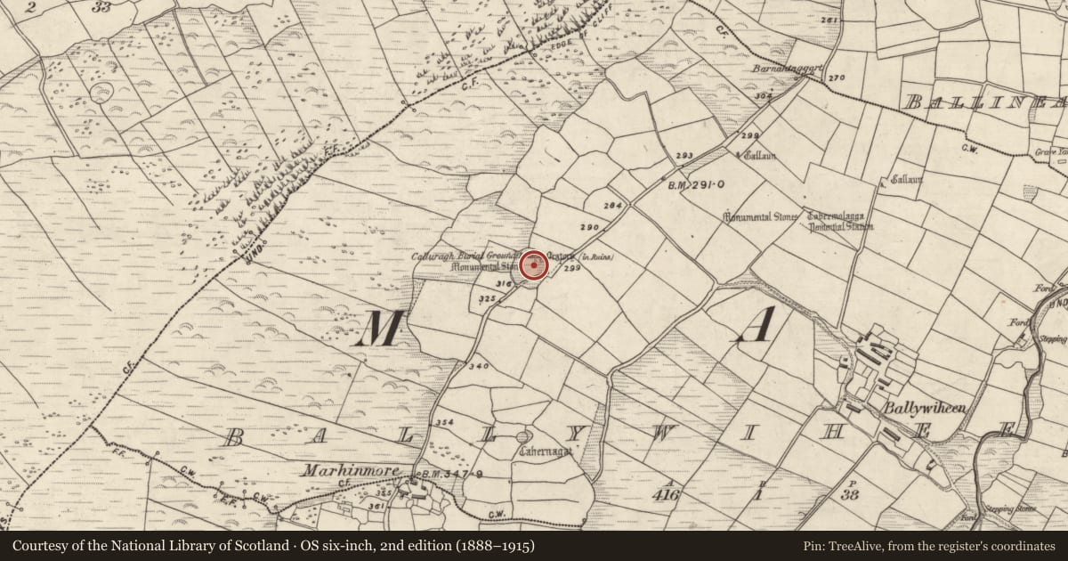 Ordnance Survey six-inch map, 2nd edition (1888–1915) covering the location of Leacht, Baile An Bhaoithín, County Kerry, with a pin at the register's coordinates