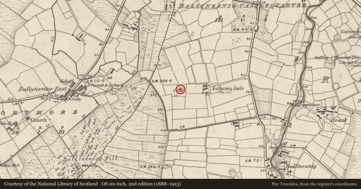 Ordnance Survey six-inch map, 2nd edition (1888–1915) covering the location of Standing stone - pair, Ceathrú An Chaisleáin, County Kerry, with a pin at the register's coordinates