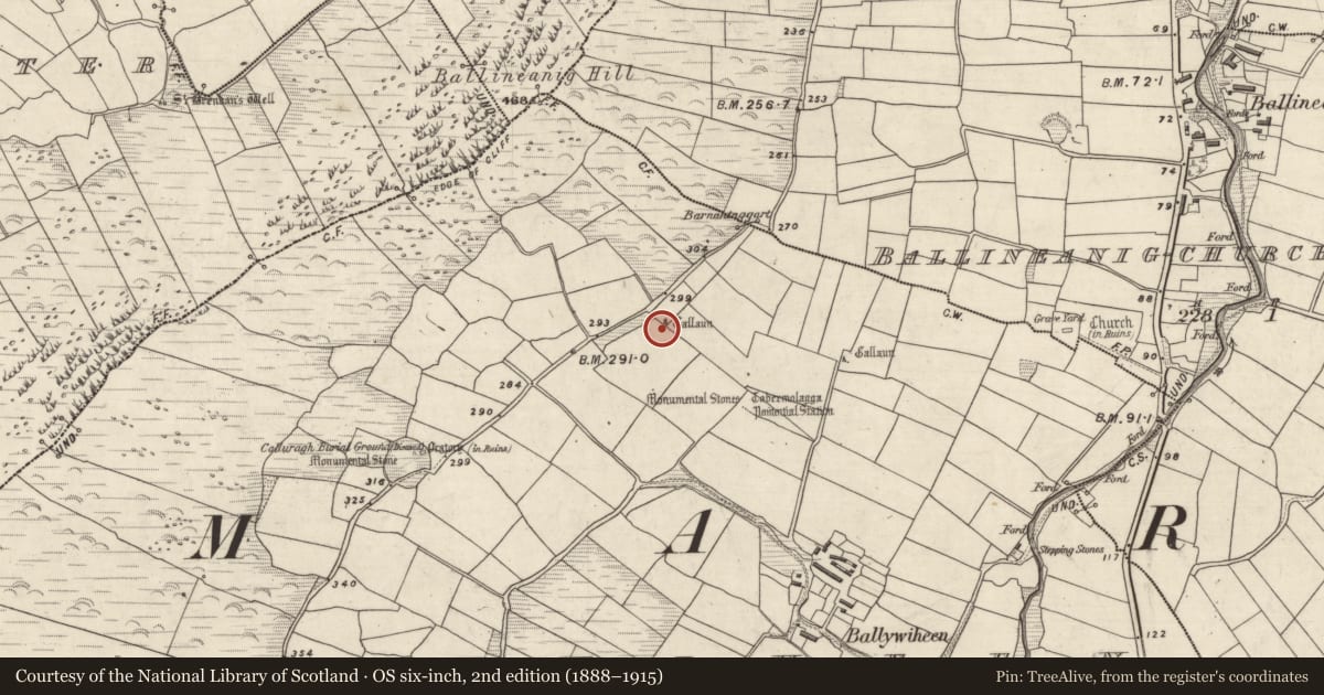 Ordnance Survey six-inch map, 2nd edition (1888–1915) covering the location of Standing stone, Baile An Bhaoithín, County Kerry, with a pin at the register's coordinates