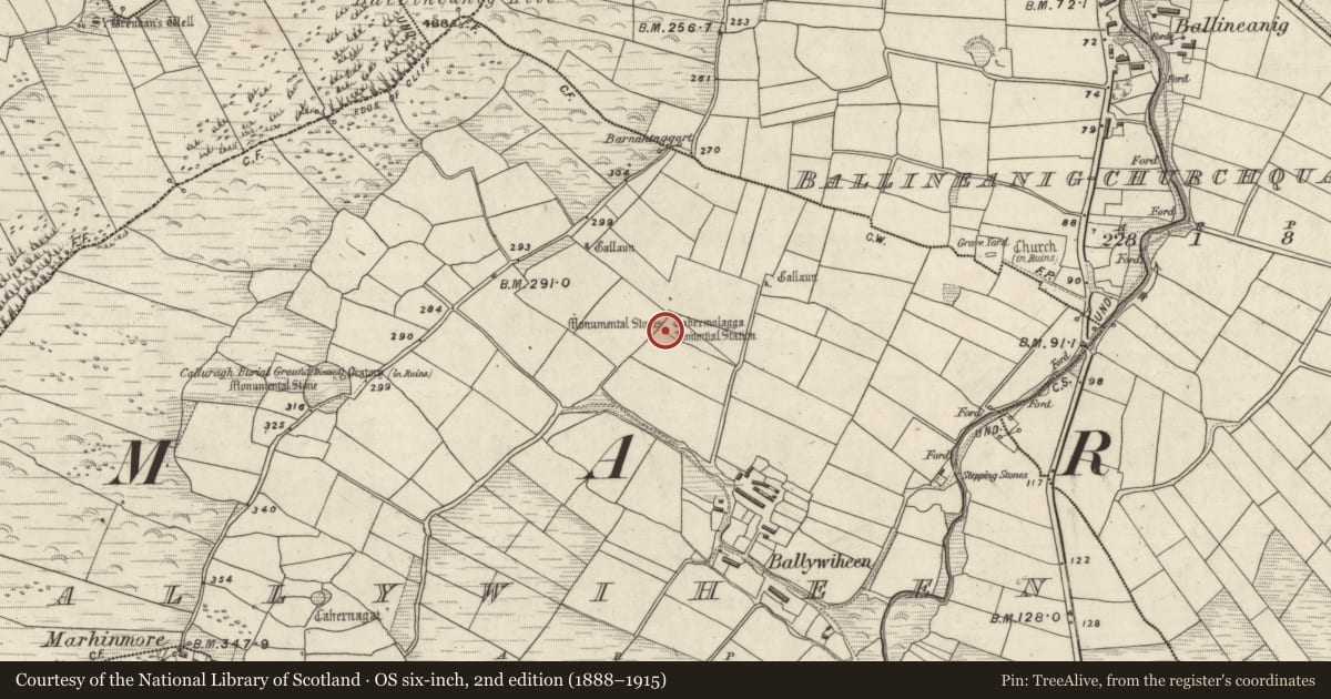 Ordnance Survey six-inch map, 2nd edition (1888–1915) covering the location of Cross-slab, Baile An Bhaoithín, County Kerry, with a pin at the register's coordinates