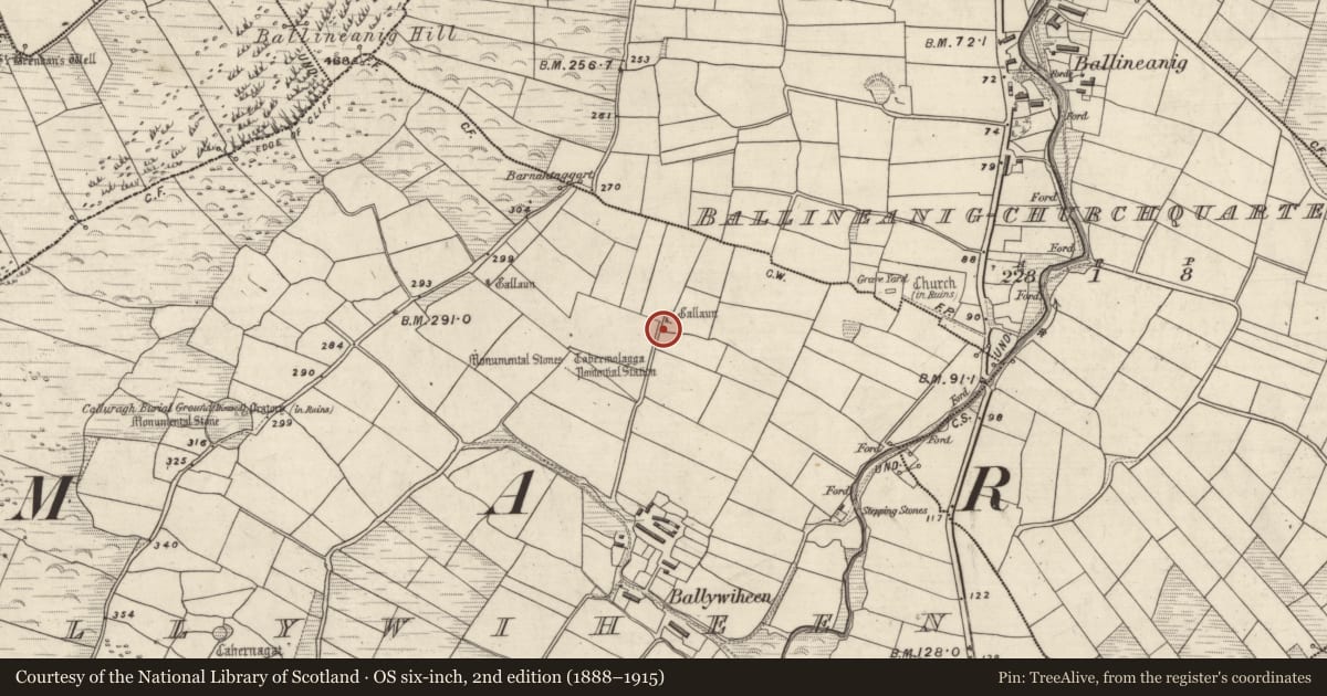 Ordnance Survey six-inch map, 2nd edition (1888–1915) covering the location of Standing stone, Baile An Bhaoithín, County Kerry, with a pin at the register's coordinates