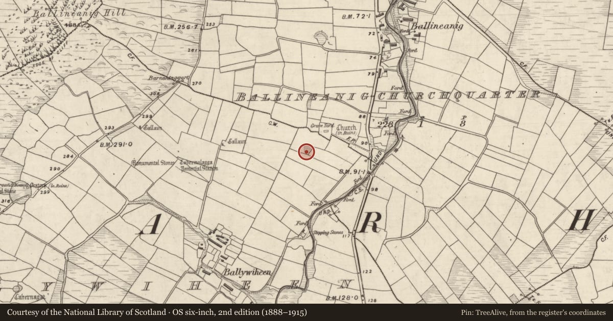 Ordnance Survey six-inch map, 2nd edition (1888–1915) covering the location of Burial ground, Baile An Bhaoithín, County Kerry, with a pin at the register's coordinates
