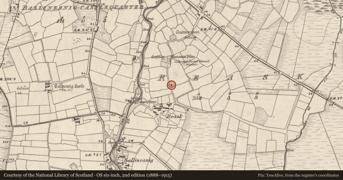 Ordnance Survey six-inch map, 2nd edition (1888–1915) covering the location of Ringfort - rath, An Riasc, County Kerry, with a pin at the register's coordinates