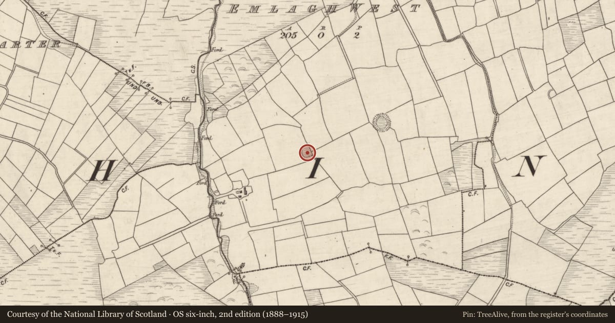 Ordnance Survey six-inch map, 2nd edition (1888–1915) covering the location of Ringfort - rath, Imileá Na Gcrann (TC Márthain), County Kerry, with a pin at the register's coordinates