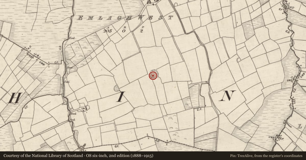 Ordnance Survey six-inch map, 2nd edition (1888–1915) covering the location of Ringfort - rath, Imileá Na Gcrann (TC Márthain), County Kerry, with a pin at the register's coordinates