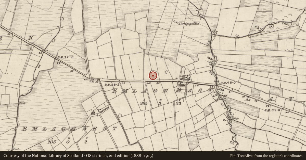 Ordnance Survey six-inch map, 2nd edition (1888–1915) covering the location of House - indeterminate date, Imileá An Bhóthair (TC Márthain), County Kerry, with a pin at the register's coordinates