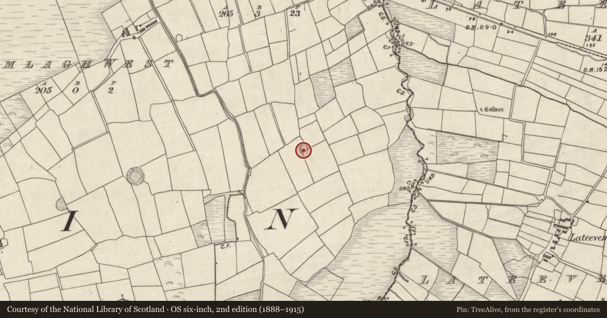 Ordnance Survey six-inch map, 2nd edition (1888–1915) covering the location of Ringfort - rath, Imileá An Bhóthair (TC Márthain), County Kerry, with a pin at the register's coordinates