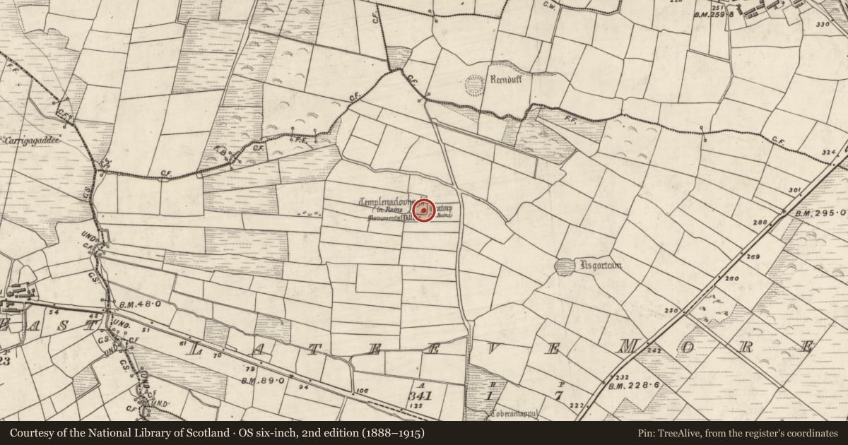 Ordnance Survey six-inch map, 2nd edition (1888–1915) covering the location of Church, Leataoibh Mór, County Kerry, with a pin at the register's coordinates