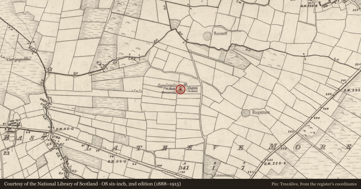 Ordnance Survey six-inch map, 2nd edition (1888–1915) covering the location of Cross-inscribed pillar, Leataoibh Mór, County Kerry, with a pin at the register's coordinates