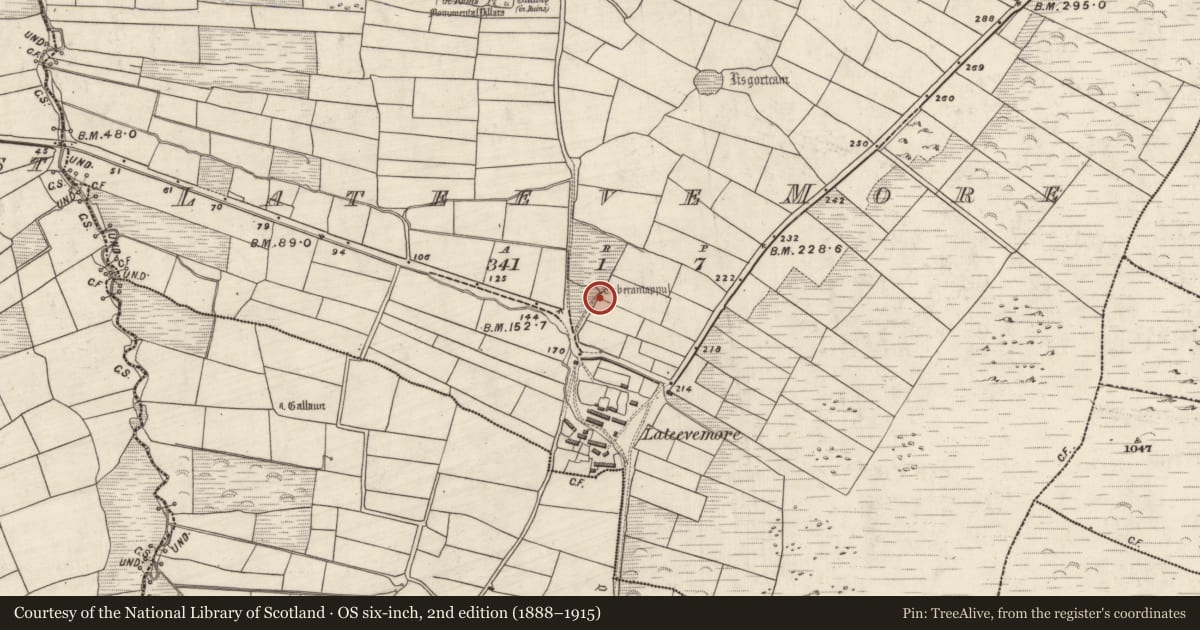 Ordnance Survey six-inch map, 2nd edition (1888–1915) covering the location of Ritual site - holy well, Leataoibh Mór, County Kerry, with a pin at the register's coordinates