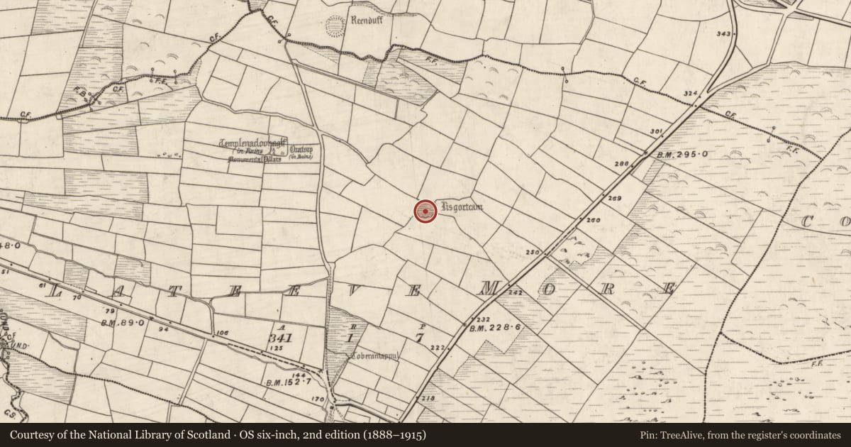 Ordnance Survey six-inch map, 2nd edition (1888–1915) covering the location of Souterrain, Leataoibh Mór, County Kerry, with a pin at the register's coordinates