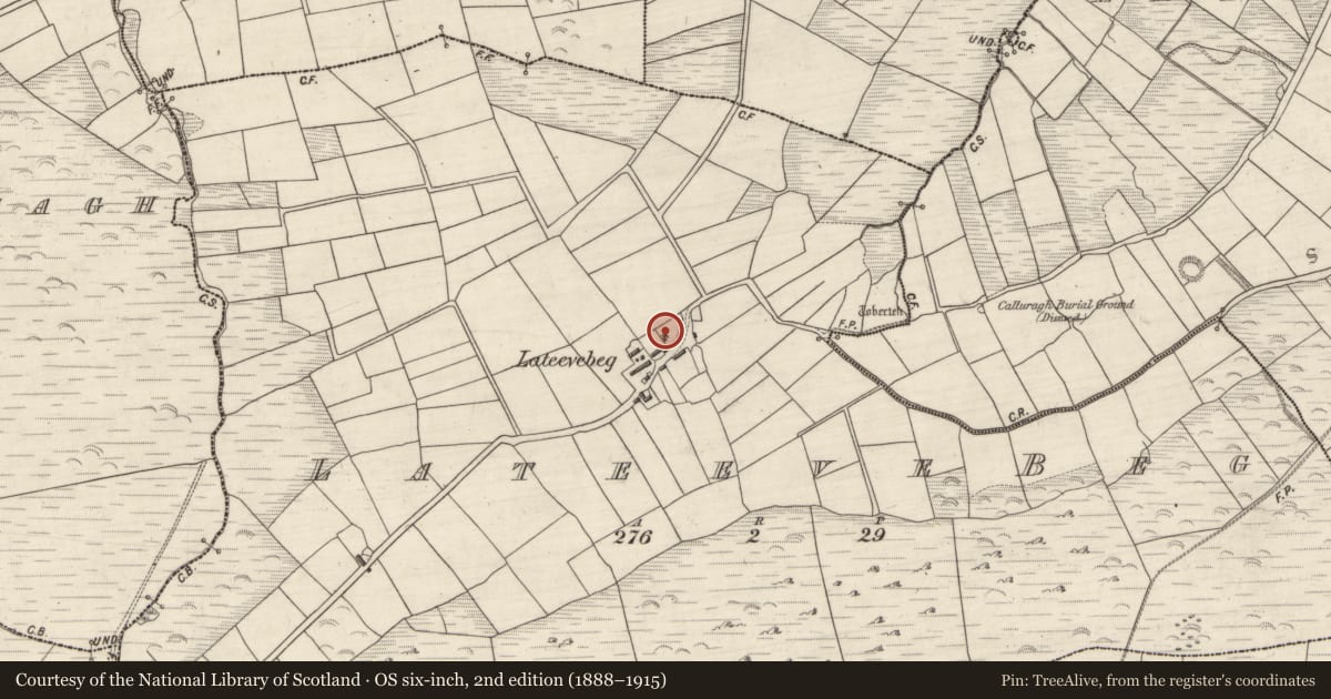Ordnance Survey six-inch map, 2nd edition (1888–1915) covering the location of Cross-inscribed stone, Leataoibh Beag, County Kerry, with a pin at the register's coordinates
