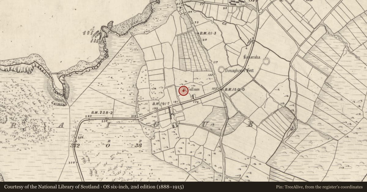 Ordnance Survey six-inch map, 2nd edition (1888–1915) covering the location of Standing stone, An Gráig (TC Dún Urlann), County Kerry, with a pin at the register's coordinates