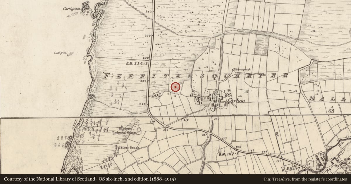 Ordnance Survey six-inch map, 2nd edition (1888–1915) covering the location of Hut site, Ceathrú An Fheirtéaraigh, County Kerry, with a pin at the register's coordinates
