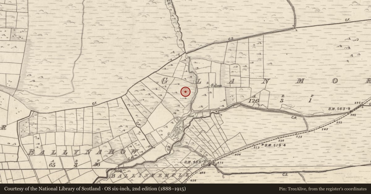 Ordnance Survey six-inch map, 2nd edition (1888–1915) covering the location of Cairn - unclassified, An Gleann Mór (Bar. Corca Dhuibhne, TC Dún Chaoin), County Kerry, with a pin at the register's coordinates