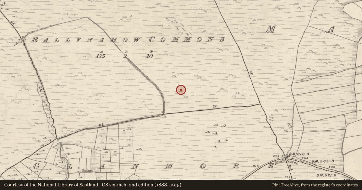 Ordnance Survey six-inch map, 2nd edition (1888–1915) covering the location of Hut site, Coimín Bhaile Na Habha, County Kerry, with a pin at the register's coordinates