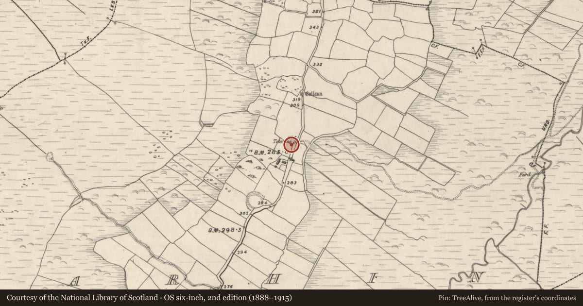 Ordnance Survey six-inch map, 2nd edition (1888–1915) covering the location of Ritual site - holy well, Márthain, County Kerry, with a pin at the register's coordinates