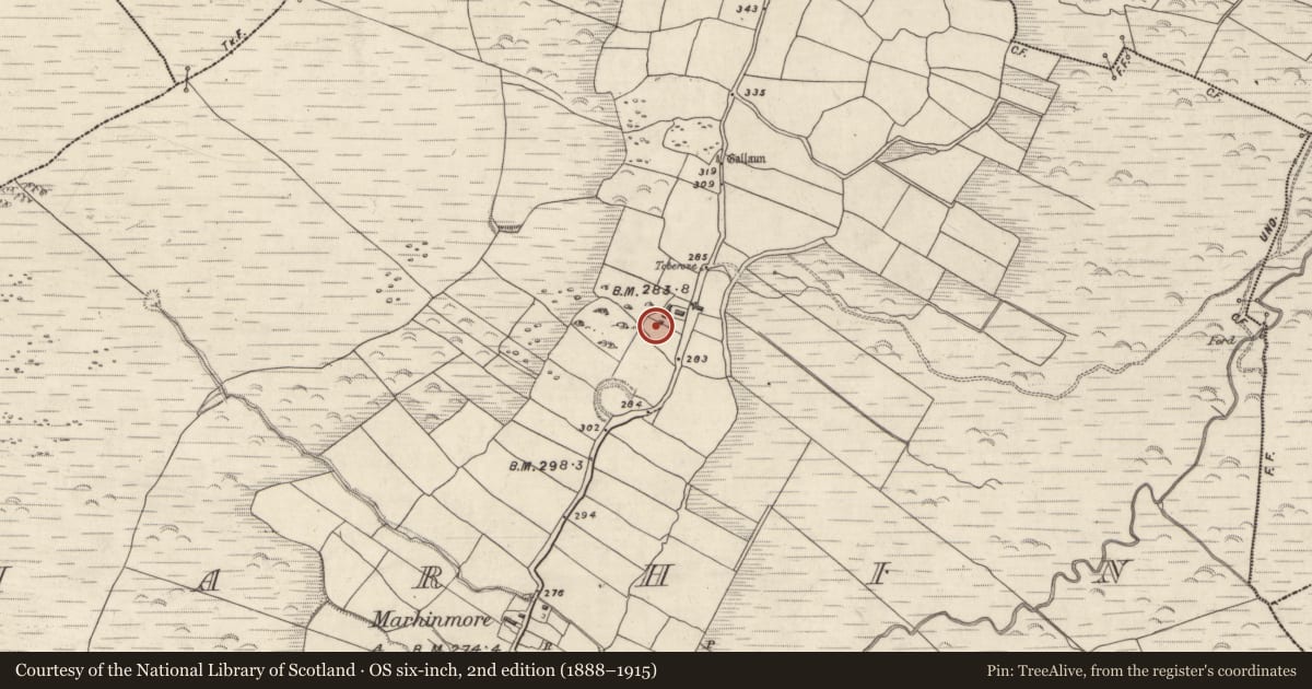 Ordnance Survey six-inch map, 2nd edition (1888–1915) covering the location of Hut site, Márthain, County Kerry, with a pin at the register's coordinates