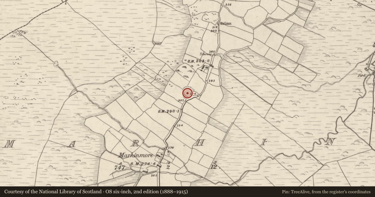 Ordnance Survey six-inch map, 2nd edition (1888–1915) covering the location of Ringfort - rath, Márthain, County Kerry, with a pin at the register's coordinates