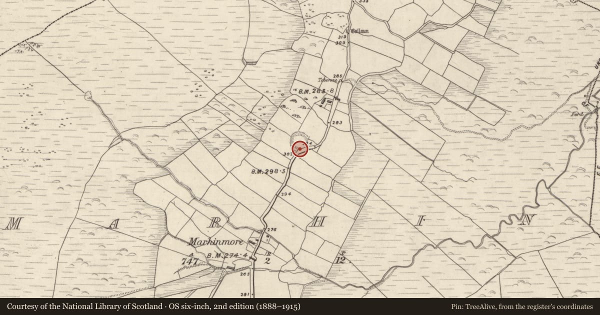 Ordnance Survey six-inch map, 2nd edition (1888–1915) covering the location of Hut site, Márthain, County Kerry, with a pin at the register's coordinates