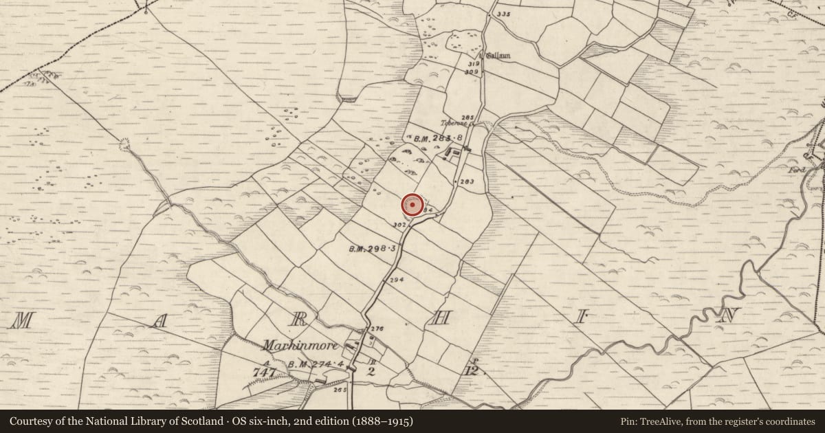 Ordnance Survey six-inch map, 2nd edition (1888–1915) covering the location of Souterrain, Márthain, County Kerry, with a pin at the register's coordinates