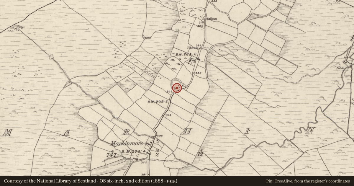 Ordnance Survey six-inch map, 2nd edition (1888–1915) covering the location of Hut site, Márthain, County Kerry, with a pin at the register's coordinates
