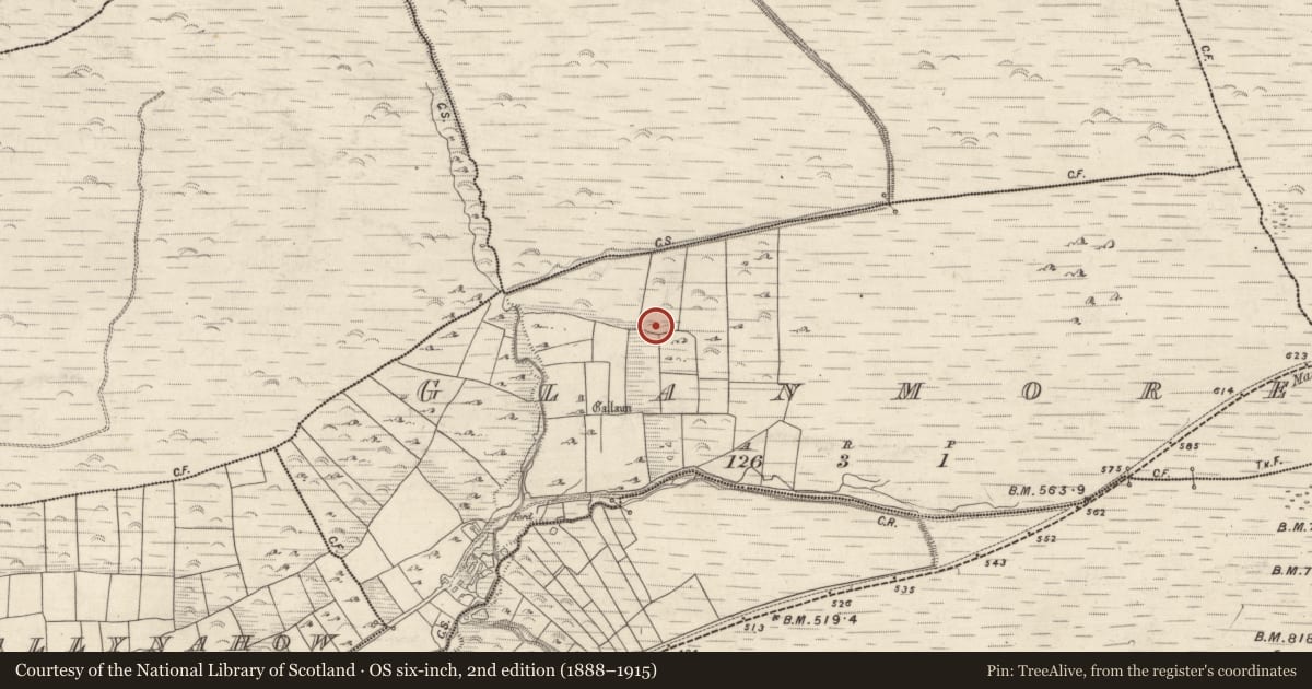 Ordnance Survey six-inch map, 2nd edition (1888–1915) covering the location of Enclosure, An Gleann Mór (Bar. Corca Dhuibhne, TC Dún Chaoin), County Kerry, with a pin at the register's coordinates