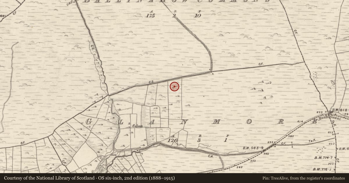 Ordnance Survey six-inch map, 2nd edition (1888–1915) covering the location of Enclosure, An Gleann Mór (Bar. Corca Dhuibhne, TC Dún Chaoin), County Kerry, with a pin at the register's coordinates