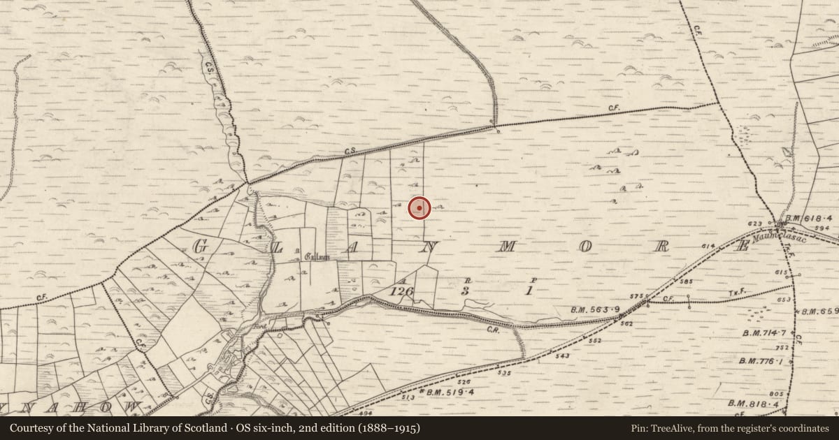 Ordnance Survey six-inch map, 2nd edition (1888–1915) covering the location of Cist, An Gleann Mór (Bar. Corca Dhuibhne, TC Dún Chaoin), County Kerry, with a pin at the register's coordinates