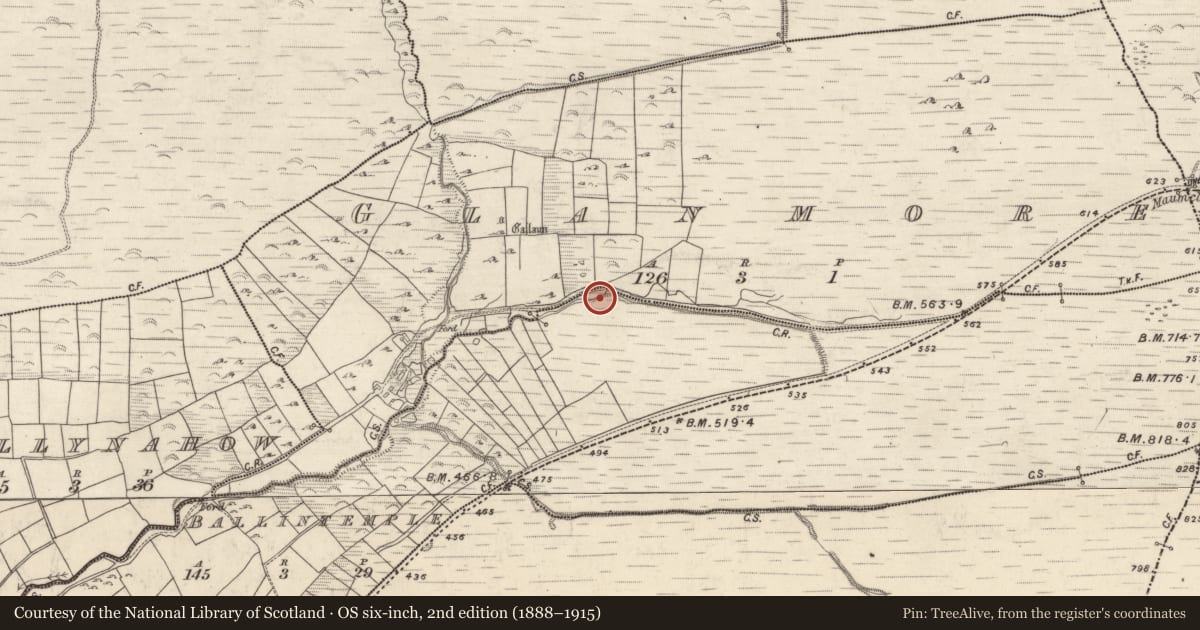 Ordnance Survey six-inch map, 2nd edition (1888–1915) covering the location of Megalithic structure, Baile An Teampaill, County Kerry, with a pin at the register's coordinates