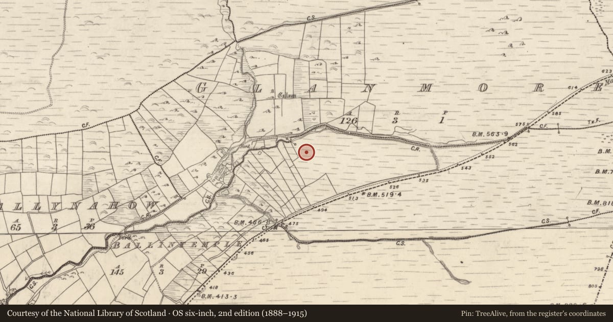 Ordnance Survey six-inch map, 2nd edition (1888–1915) covering the location of Enclosure, Baile An Teampaill, County Kerry, with a pin at the register's coordinates