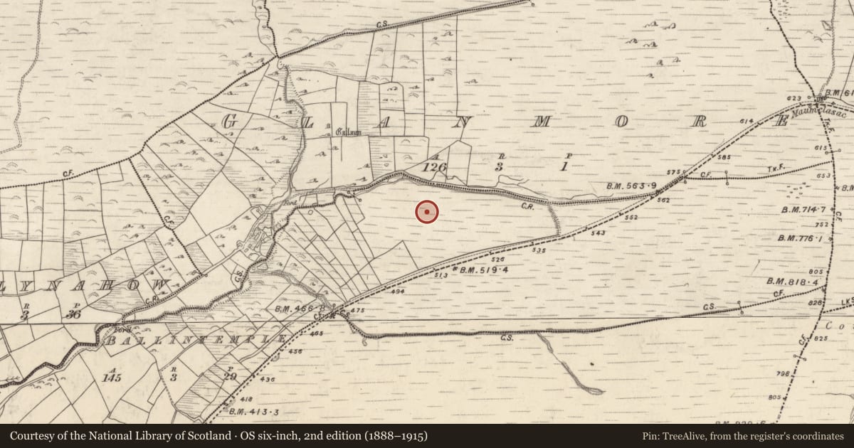 Ordnance Survey six-inch map, 2nd edition (1888–1915) covering the location of Megalithic tomb - wedge tomb, Baile An Teampaill, County Kerry, with a pin at the register's coordinates