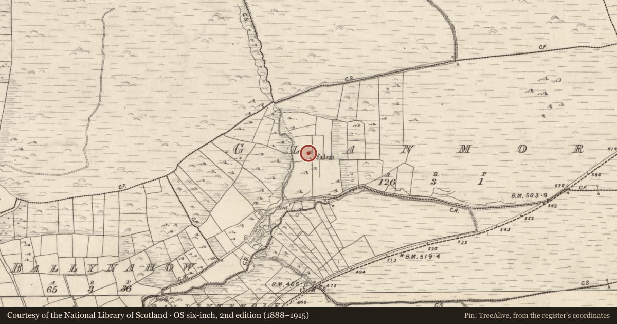 Ordnance Survey six-inch map, 2nd edition (1888–1915) covering the location of Standing stone, An Gleann Mór (Bar. Corca Dhuibhne, TC Dún Chaoin), County Kerry, with a pin at the register's coordinates