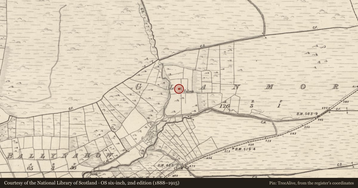 Ordnance Survey six-inch map, 2nd edition (1888–1915) covering the location of Megalithic structure, An Gleann Mór (Bar. Corca Dhuibhne, TC Dún Chaoin), County Kerry, with a pin at the register's coordinates